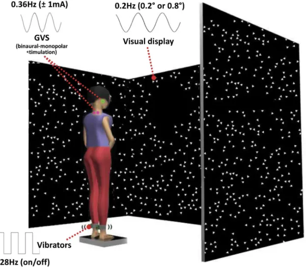 Figure 1. Experimental setup showing standing subject with simultaneous visual, vibration and galvanic vestibular perturbations.