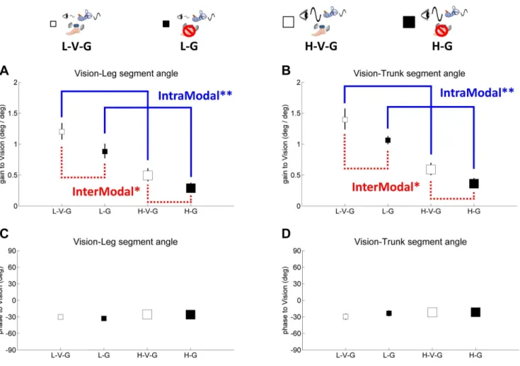 Figure 4. Gain and phase of segment angles relative to vision, showing intramodal visual reweighting (blue solid line) and intermodal visual-proprioceptive reweighting (red dashed line)