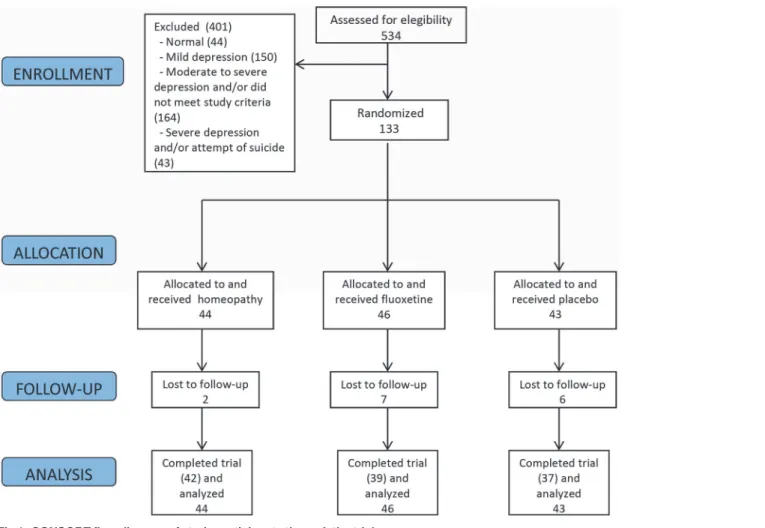 Fig 1. CONSORT flow diagram of study participants through the trial.