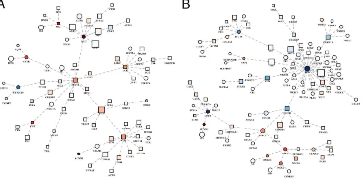 Figure 6. Most relevant relationships between proteins in network proximity to HCV and differentially expressed in preneoplastic and neoplastic liver samples