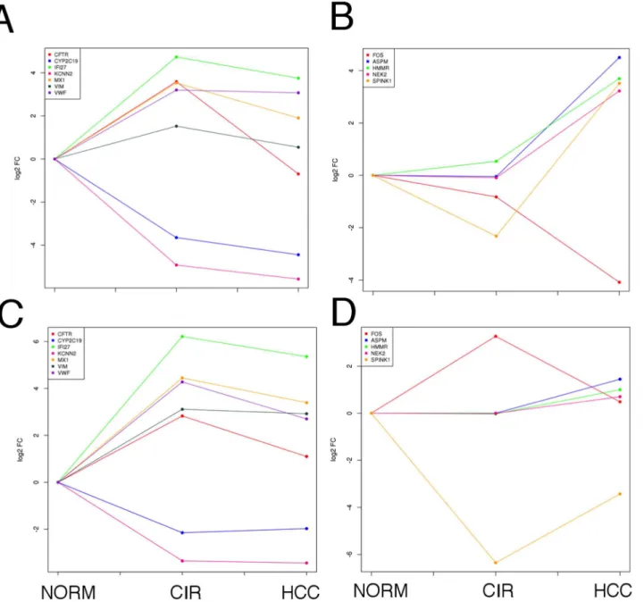 Figure 7. Expression variation in normal, cirrhotic and hepatocellular carcinoma samples of the most differentially expressed proteins that lie in network proximity to HCV targets