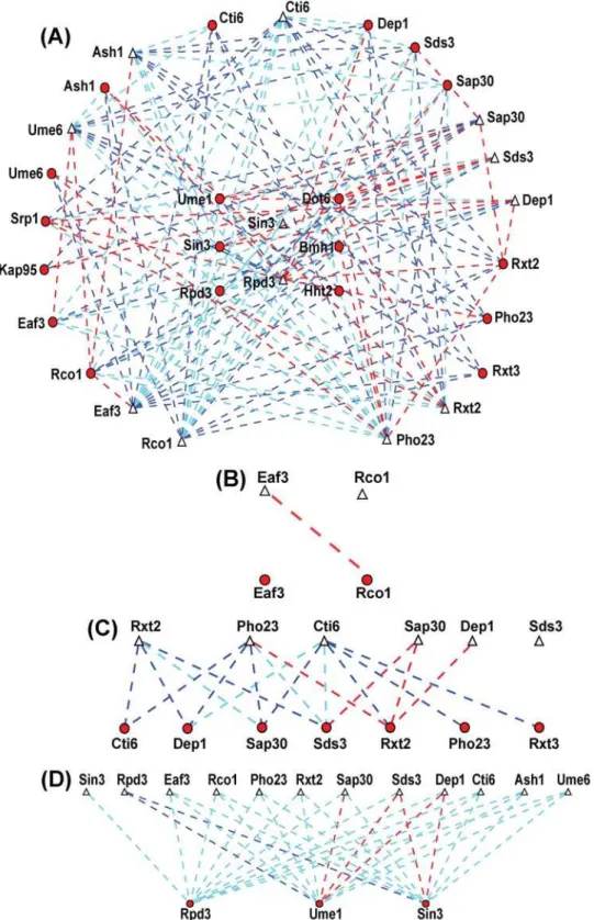 Figure 4. Probabilistic deletion network of the Rpd3 complexes. (A) The probabilistic protein network of the RPD3 complexes is generated by representing proteins as nodes (Rpd3-TAP in a deleted subunit are depicted by triangles and preys as circles), conne