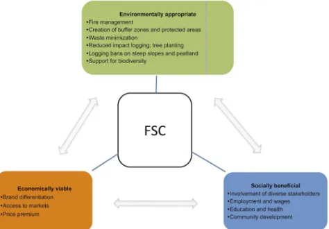 Fig 1. Summary of the intended FSC impacts. The arrows indicate linkages between the three goals