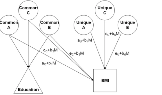 Figure 1. Model of moderation of genetic and environmental influences on BMI as moderated by education