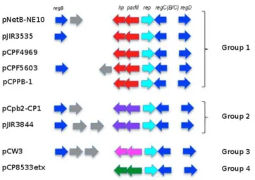 Figure 5. Comparative analysis of central control region of C.