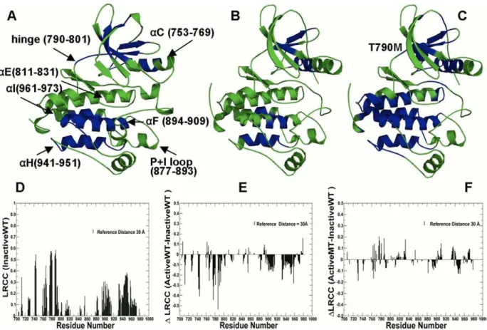 Figure 4. Structural Mapping of Allosteric Communication Profiles in the EGFR Kinase Catalytic Domain