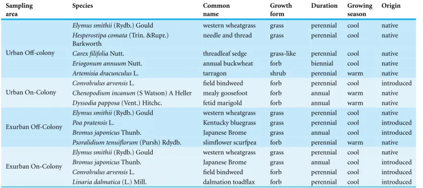 Table 1 Dominant species based on observations along transects established in each sampling area (urban and exurban sites both on and off the prairie dog colonies)