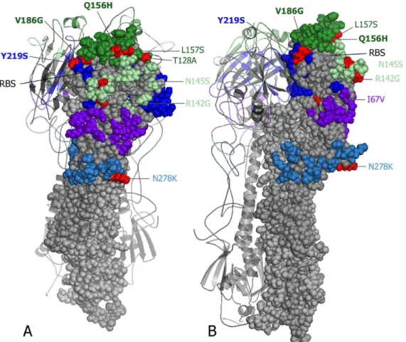 Figure 3. Three-dimensional model of antigenic-site differences between circulating H3N2 viruses and the 2012–13 egg-adapted A/