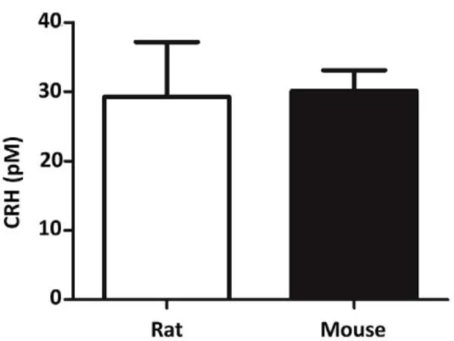 Table 3. Cycle threshold (Ct) values of Crh and Ucn1 mRNA in rat fetal tissues.