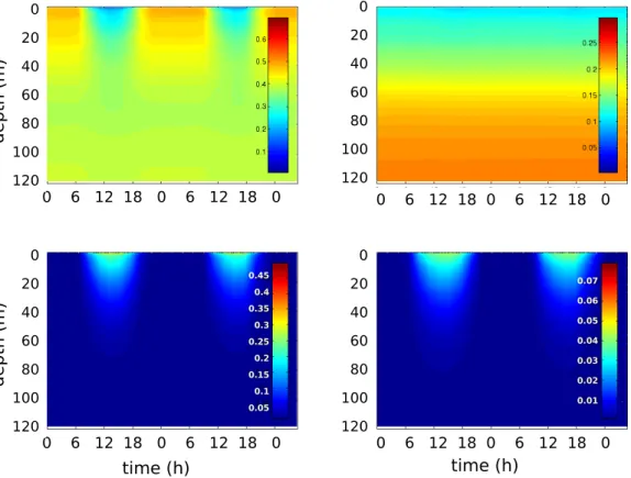 Fig. 2. Diurnal variability of modeled iron concentrations in nM for a typical summer day (2 August 1994)
