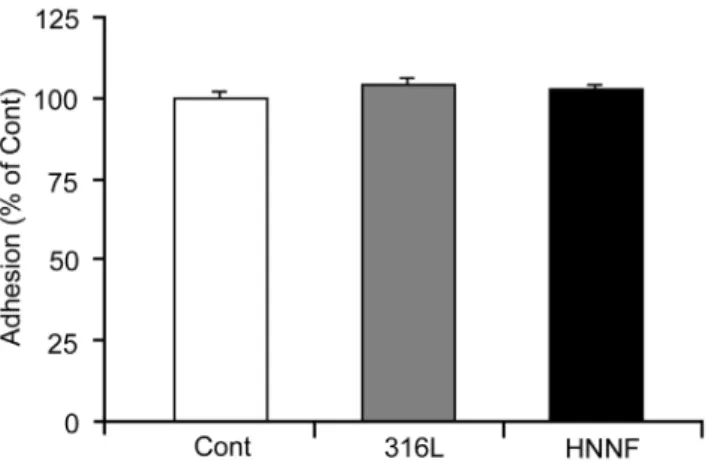 Figure 2. Optical images of HUVECs grown on different surfaces of materials. Culture for 3 days in culture medium (A), 316L SS (B) and HNNF SS (C), and for 7 days in culture medium (D), 316L SS (E) and HNNF SS (F)