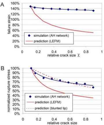 Figure 7 shows a detailed view into structure at crack tip for two different strain levels