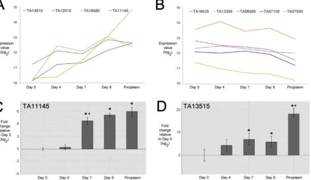 Fig 2. Temporal expression profiles of selected ApiAP2 genes in T. annulata. A. Microarray log 2 expression values (Y-axis) of up-regulated ApiAP2 genes generated from RNA derived from an in vitro stage-differentiation time-course from Day 0 (macroschizont