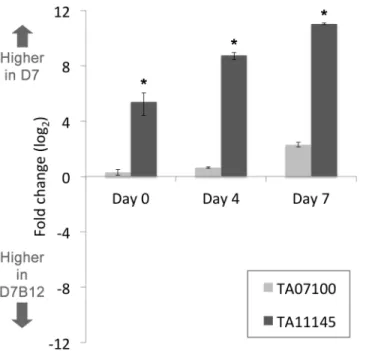 Fig 7. Expression of TA11145 (TaAP2.me1) is significantly higher in the D7 cell line compared to a cell line that has lost the ability to differentiate to the merozoite