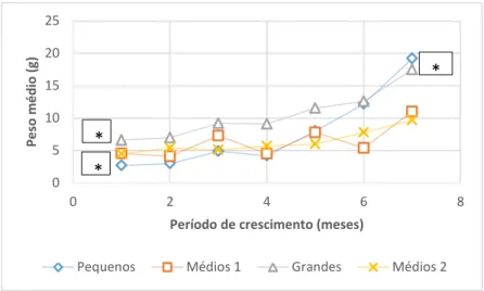 Gráfico 2. Ganho de peso médio (g) dos três tipos de indivíduos: pequenos, médios (1 e  2) e grandes, no período compreendido entre outubro/17 a abril/18