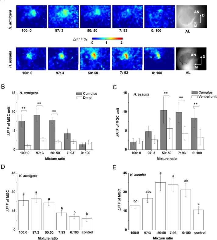 Figure 5. Glomerular activities in antennal lobes induced by binary pheromone mixtures at different ratios