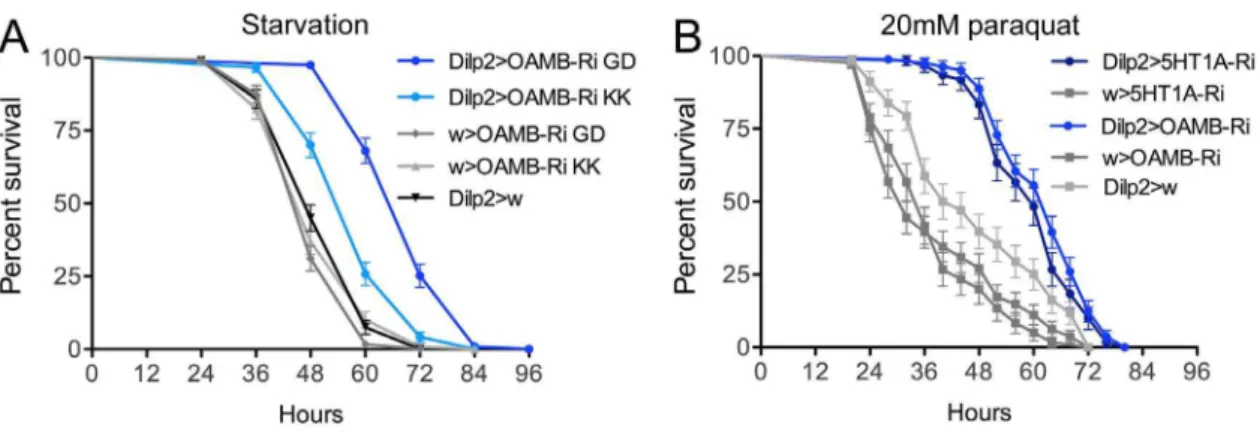 Figure 4. Knockdown of OAMB or 5-HT 1A in IPCs resulted in opposite phenotypes in a capillary feeding assay (CAFE)