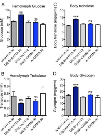 Figure 6. Social behaviors are affected by manipulations of 5- 5-HT 1A and OAMB. A Aggressive interactions in controls, 5-HT1A-RNAi and OAMB-RNAi knockdown males were determined