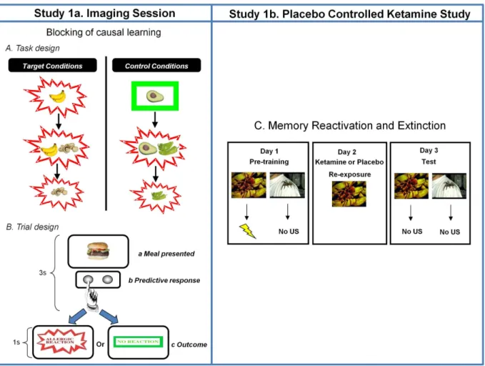 Figure 1. Study Design. A. Task Design. Target and control conditions for the food-allergy causal learning tasks