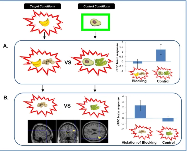 Figure 3. Brain Responses to Blocking and Violation of Blocking. A. Brain responses to Blocking vs