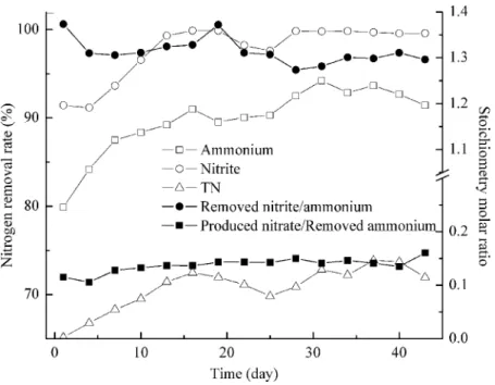 Figure 4 Treating the effluent after activated sludge deodorization reactor. NH + 4 –N, NO − 2 –N and TN removal (left axis) and process stoichiometry (right axis) during implementation of the e ffl uent after activated sludge deodorization reactor.