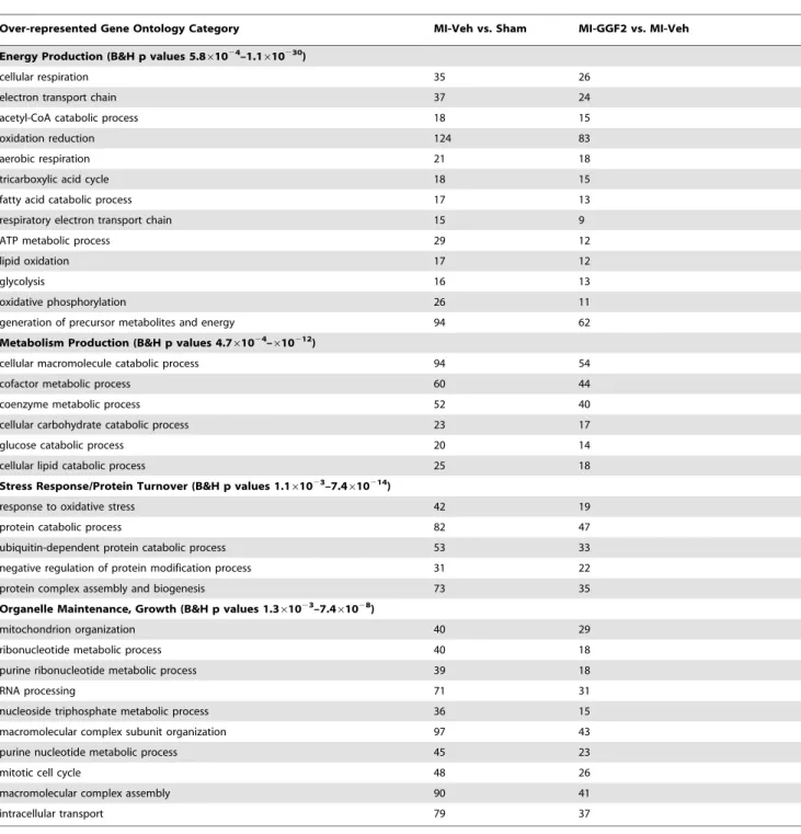 Table 2. Functional Analysis of Altered Gene Expression in Post-MI Heart Muscle.