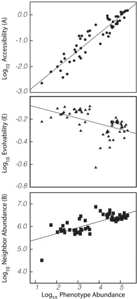 Figure 4. Mutational connectivity among RNA phenotypes.