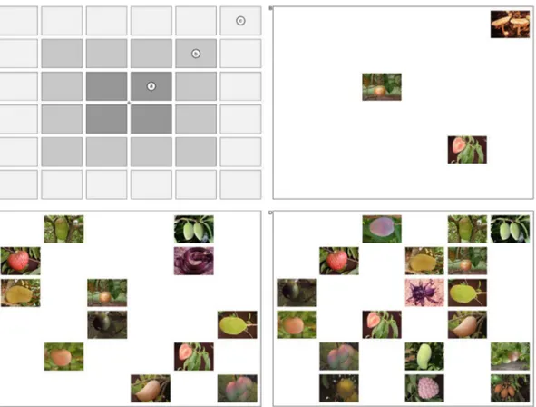 Fig. 4. The visual display in Exp. 2 was presented in a grid, with the pictures arranged on an imaginary rectangle that was divided into a 666 grid (i.e., 36 cells)