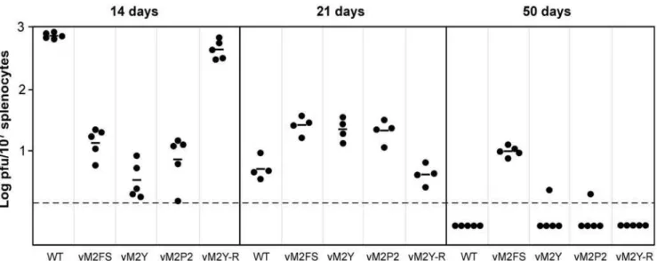 Table 1. Frequency of genome-positive GC B cells a