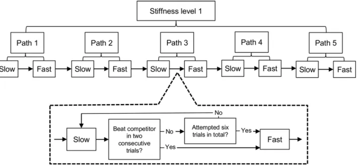 Fig 1) participants were tested on a single novel path (not presented during training) across twelve consecutive trials