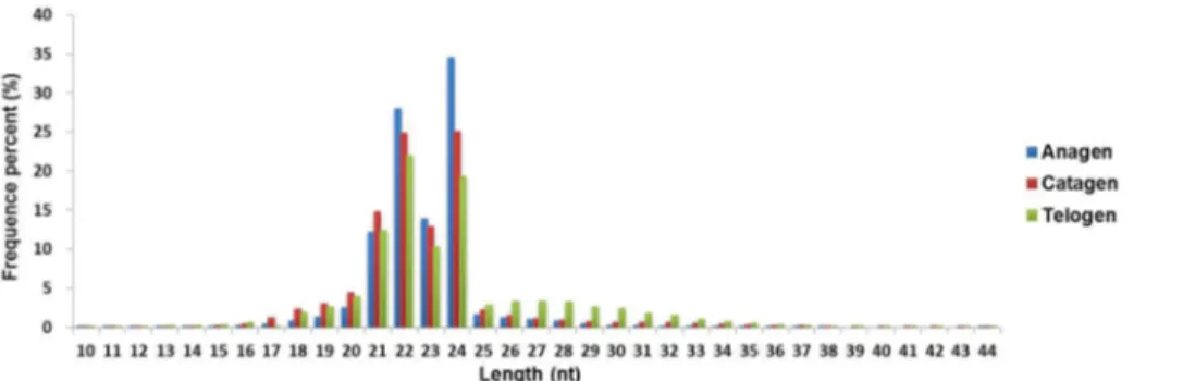 Figure 3.  Annotation of miRNAs.  The number of miRNAs is indicated.