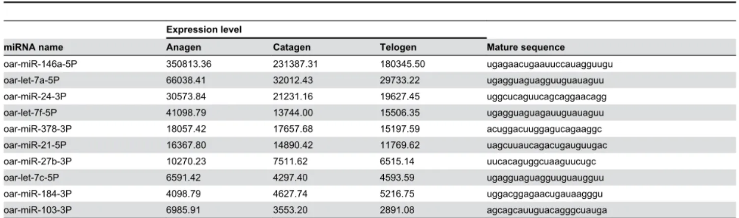 Table 2. The five most abundantly expressed novel miRNAs in sheep wool follicles.