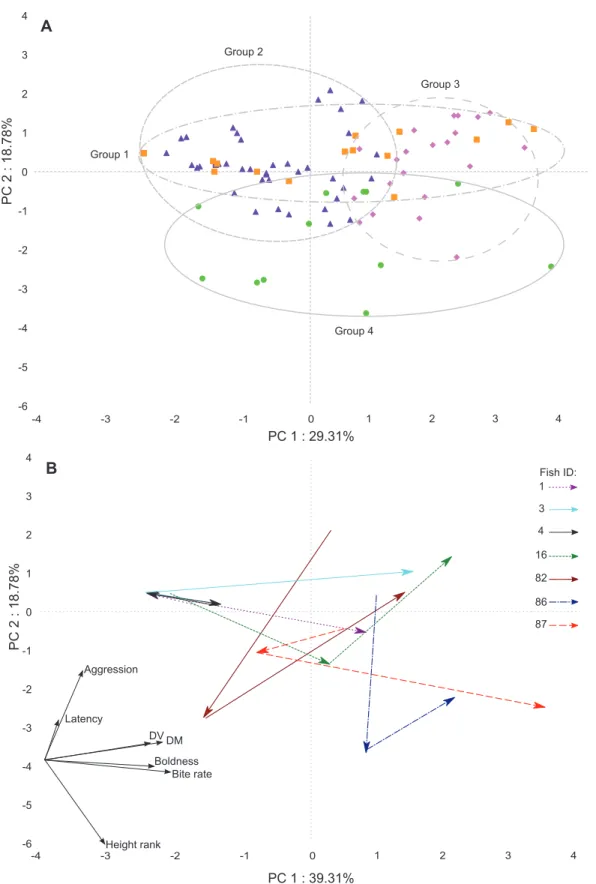 Figure 3. Principal component analysis of 7 behavioral traits for individual fish. A) PCA traits include: bite rate, distance moved, distance ventured, height, boldness, latency and aggression for individual fish (N = 33) across small tanks, large tanks, a