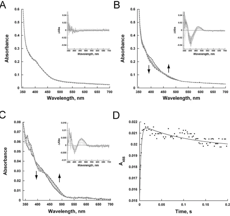 Figure 9. Rapid reaction kinetics with reduced TcUGM mixed with substrate and substrate analogs