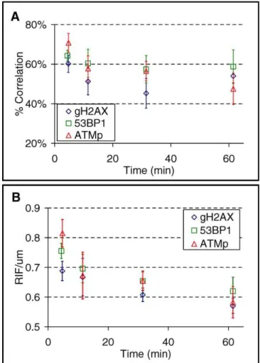 Figure 5. Spatial Foci Pattern Increasingly Deviates from Prediction Following 1 Gy of 1 GeV/amu Fe Exposure