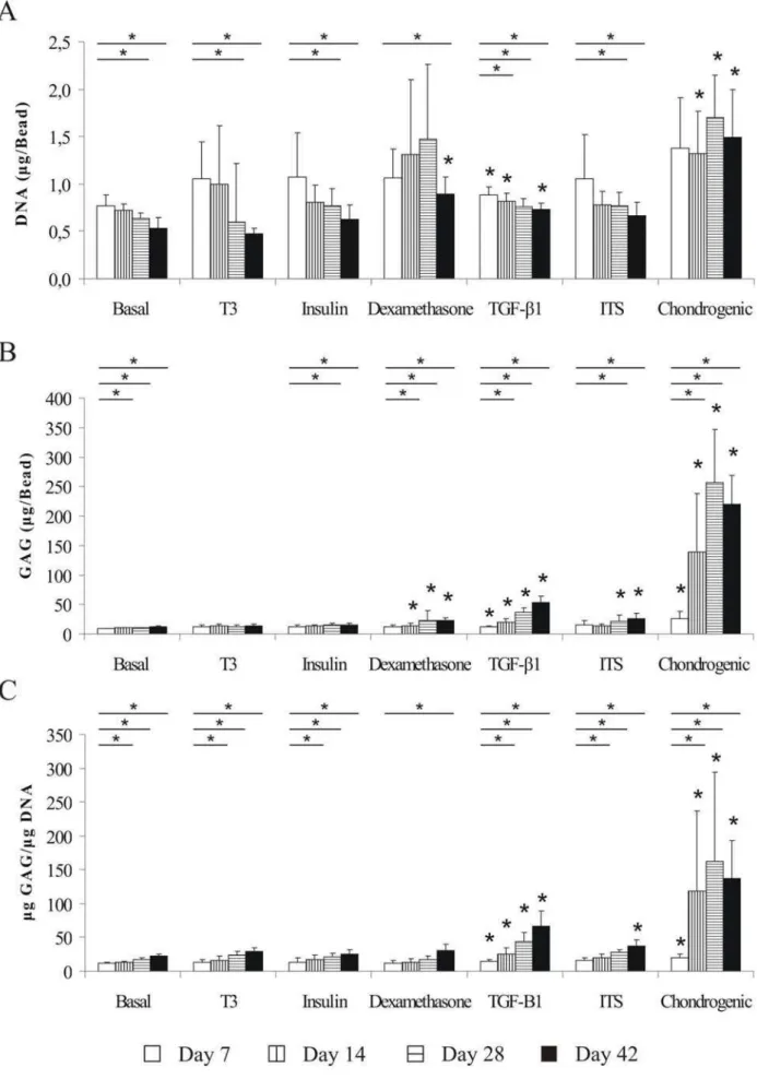 Fig. 1. DNA quantification of IVD cells in three-dimensional alginate bead cultures in T3, insulin, dexamethasone, TGF-  1, ITS and chondrogenic media over 42 days (A) effect on GAG accumulation per bead (B) and normalized to DNA (C) by IVD cells in the s