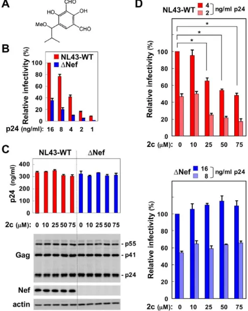 Figure 1. The effect of 2c on the infectivity of NL43 wild-type and Nef-defective mutant viruses