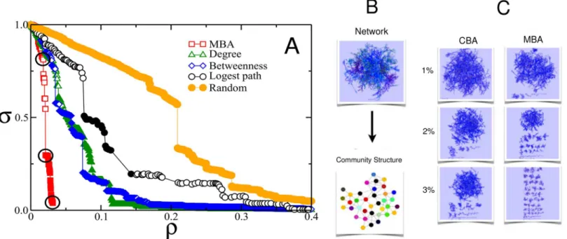 Fig 2. Comparison between the effect of betweenness-based attack, degree-based attack, longest path attack, random attack, and module-based attack for the Western US power grid network