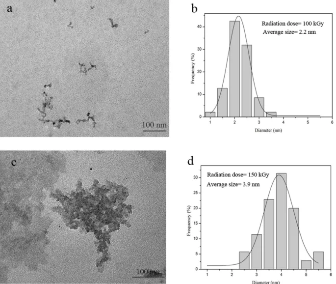 Figure 2 shows the TEM results for the iron oxide nanoparticles obtained at the 100 kGy and 150 kGy radiation doses and their associated size distribution