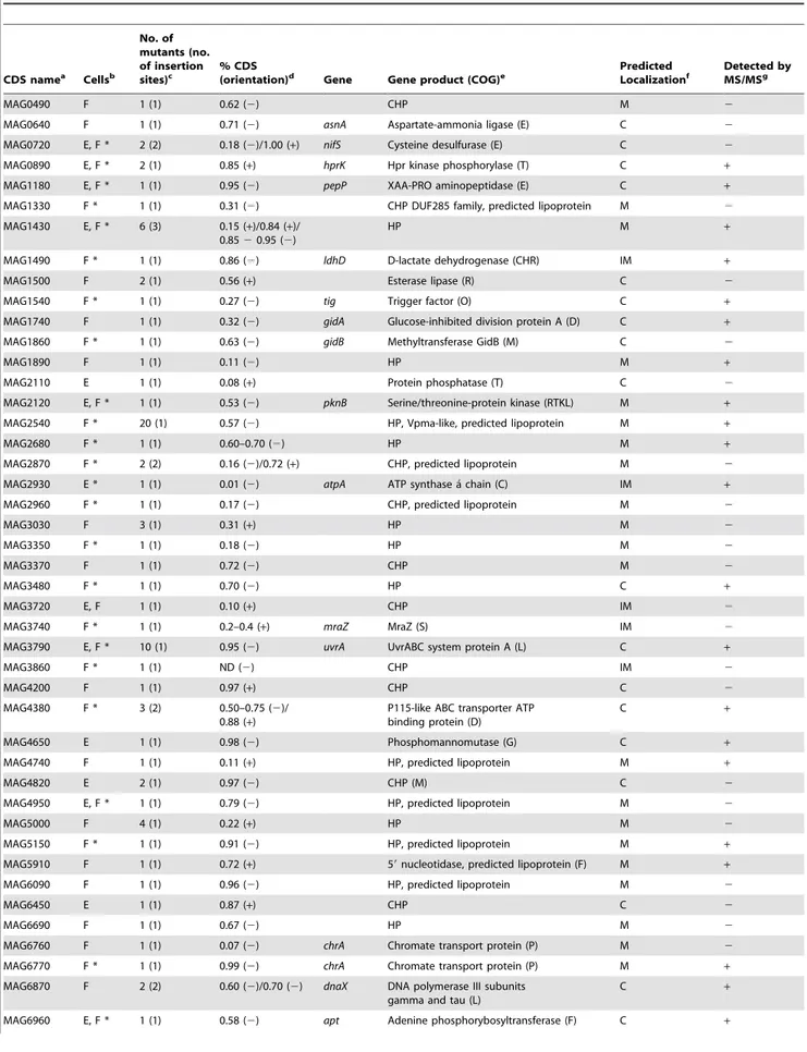 Table 3. M. agalactiae CDSs identified by high-throughput screening for their reduced growth capacities on cultured cells