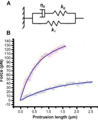 Figure 4. Reverse pull experiment. An example force-time plot involving subsequent ‘‘pull’’ and ‘‘push’’ processes