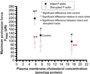 Figure 6. Effect of membrane cholesterol content and cyto- cyto-skeletal F-actin on maximum protrusion length