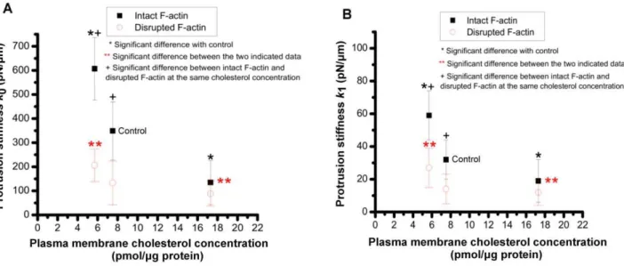Figure 8. Protrusion viscosity. Effect of membrane cholesterol content on the viscosity coefficient of the protrusion for cells with intact or disrupted F-actin