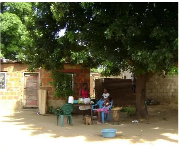 Figura 25 - Utilização do quintal numa habitação no bairro do Chamanculo C - Maputo, 2009
