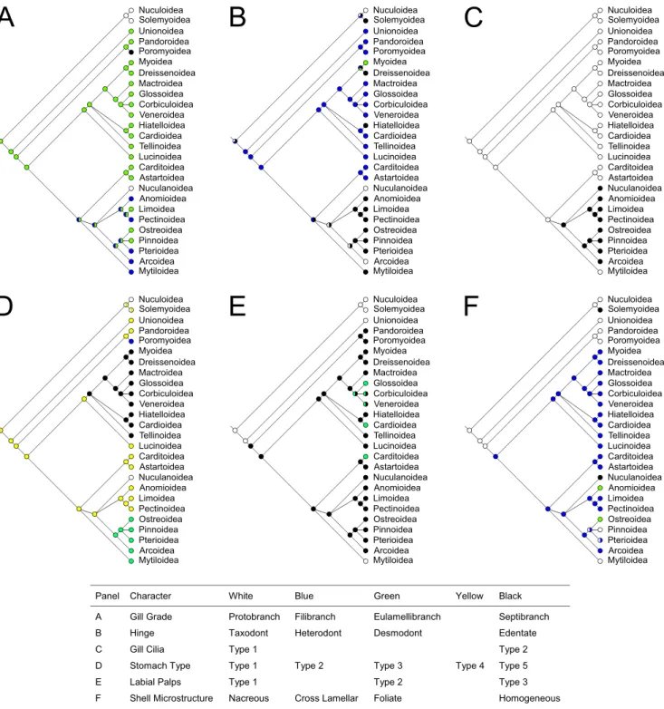 Figure 6. Bivalve major morphological characters. Optimization of six major morphological characters on bivalve phylogeny as retrieved in this work