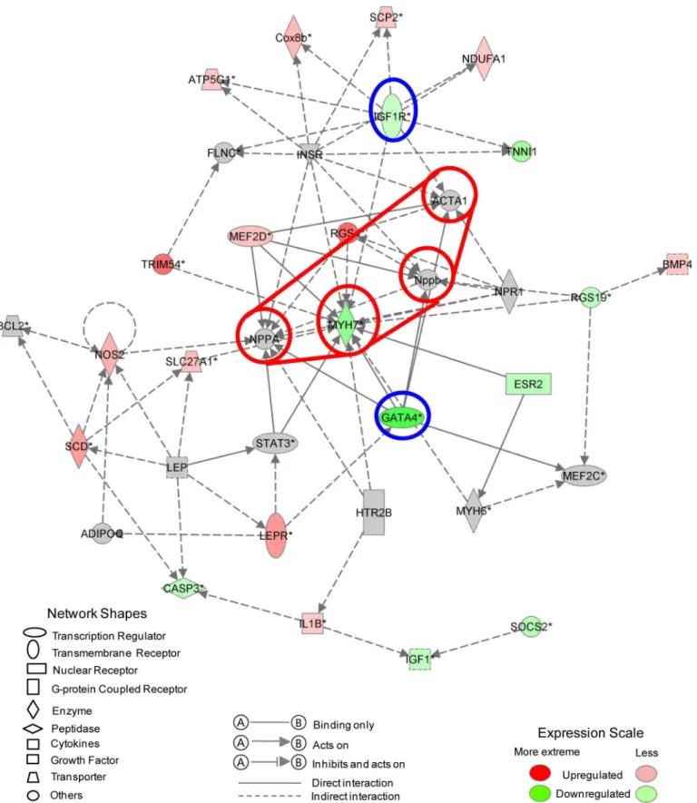 Fig 7. Top gene interaction network based on information from the Ingenuity Pathways Knowledge Base