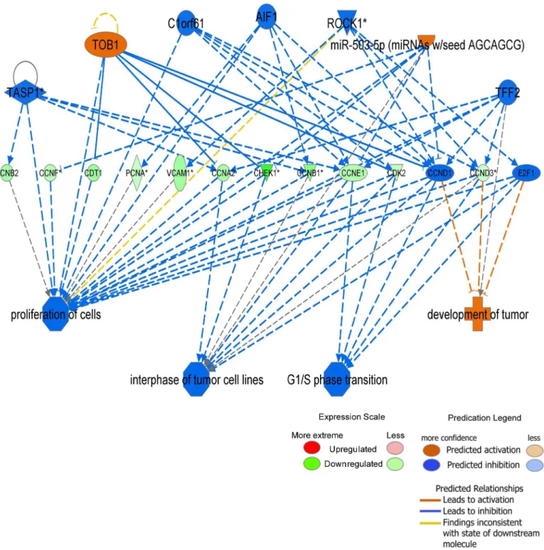 Fig 8. Regulator effects network generated from Ingenuity Pathways Analysis. Upstream regulators are displayed in the top tier, while diseases, functions and phenotypes are displayed in the bottom tier
