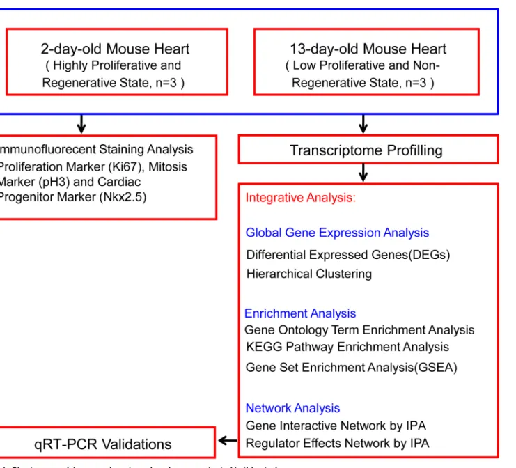 Fig 1. Chart summarizing experiments and analyses conducted in this study.