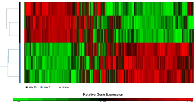 Fig 3. Hierarchical clustering of the microarray results showing the presence of two distinct heart samples