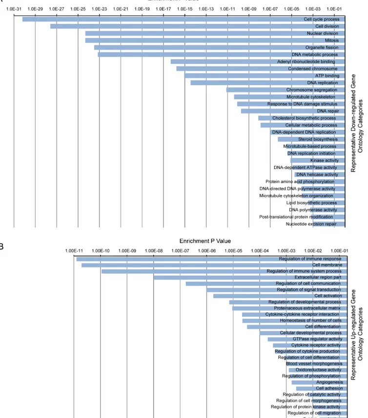 Fig 4. Gene Ontology enrichment analysis showing representative ontology categories. (A) Representative down-regulated ontology categories